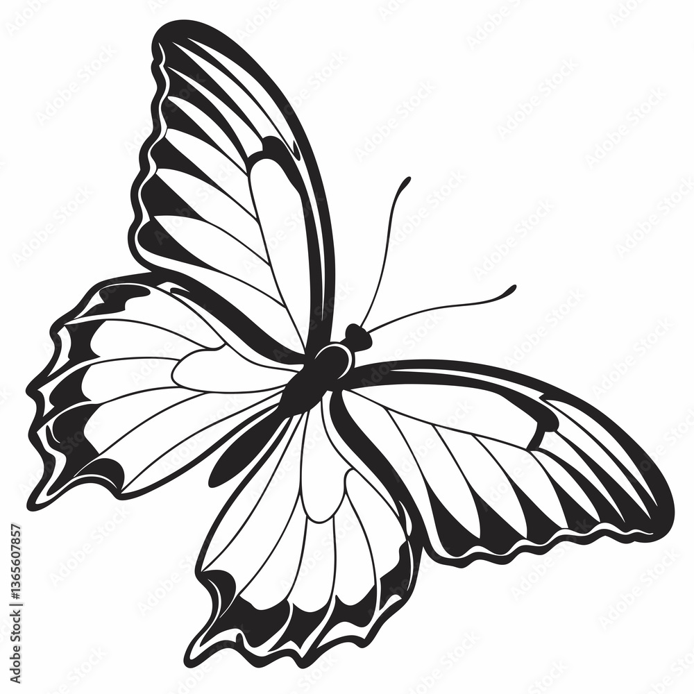 Fototapeta premium butterfly silhouette black vector