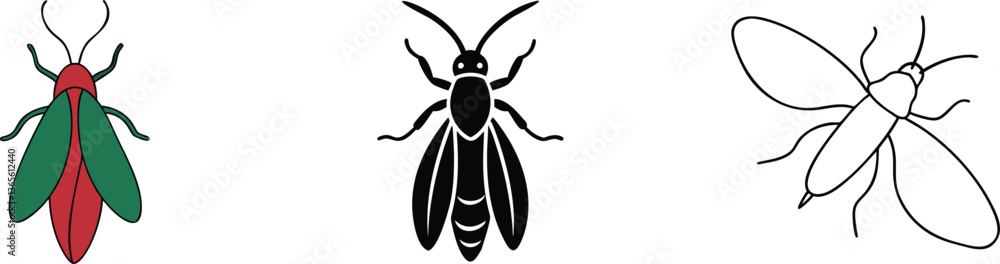 Three Insect Illustrations Colorful, Black, and Outline Designs