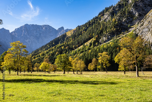 Obraz na płótnie maple trees at Ahornboden, Karwendel mountains, Tyrol, Austria w salonie
