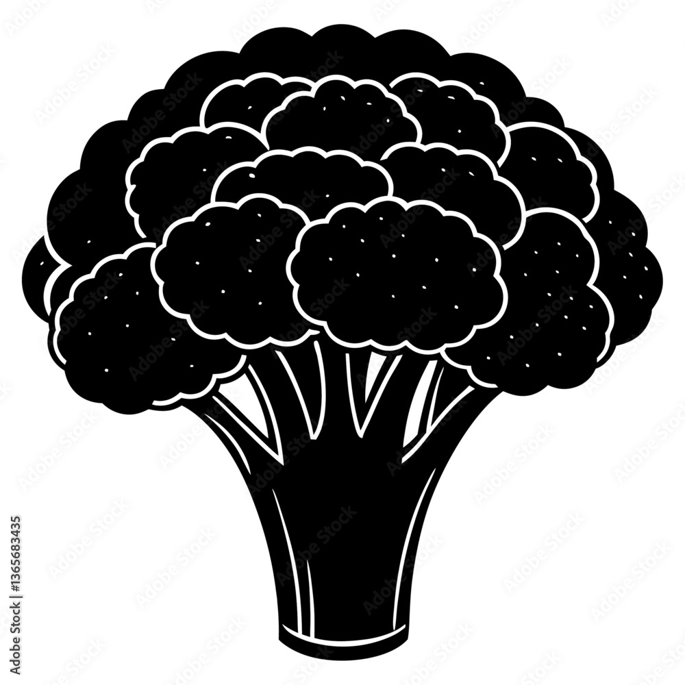 A Broccoli on white background A Broccoli on white background