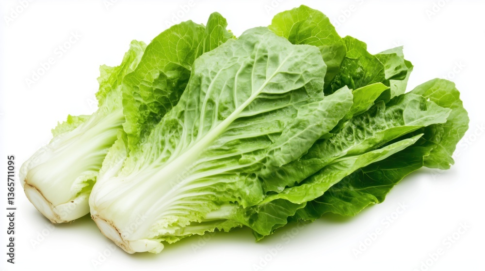 Realistic high-resolution Romaine lettuce on a white background Realistic high-resolution Romaine lettuce on a white background