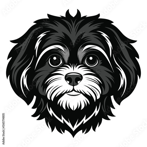 Shih Tzu dog Front view of head silhouette Vector illustration
White Background