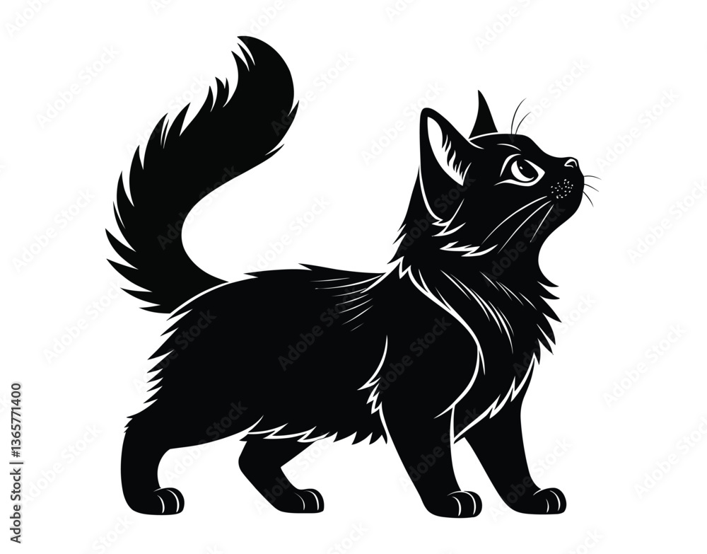 Midnight Whiskers Midnight Whiskers