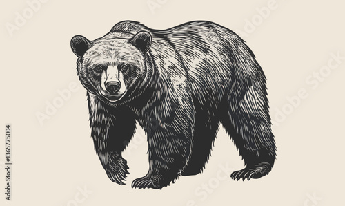 Intricate Ink Sketch Bear Mascot Logotype in Engraving Style Vector Illustration