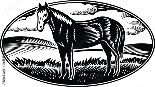  horsevintage illustration vector design