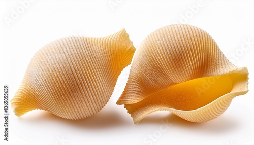 shell pasta isolated on white background