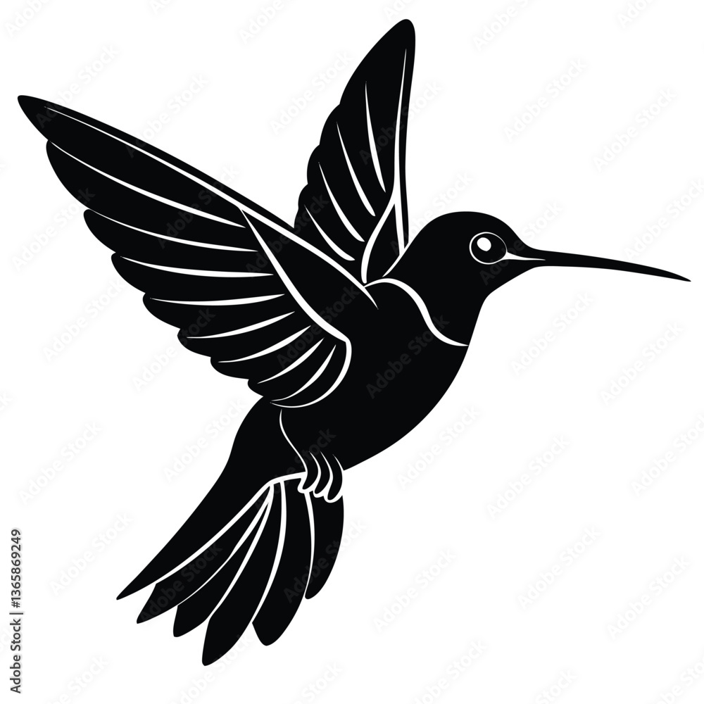 Fototapeta premium hummingbird on white background