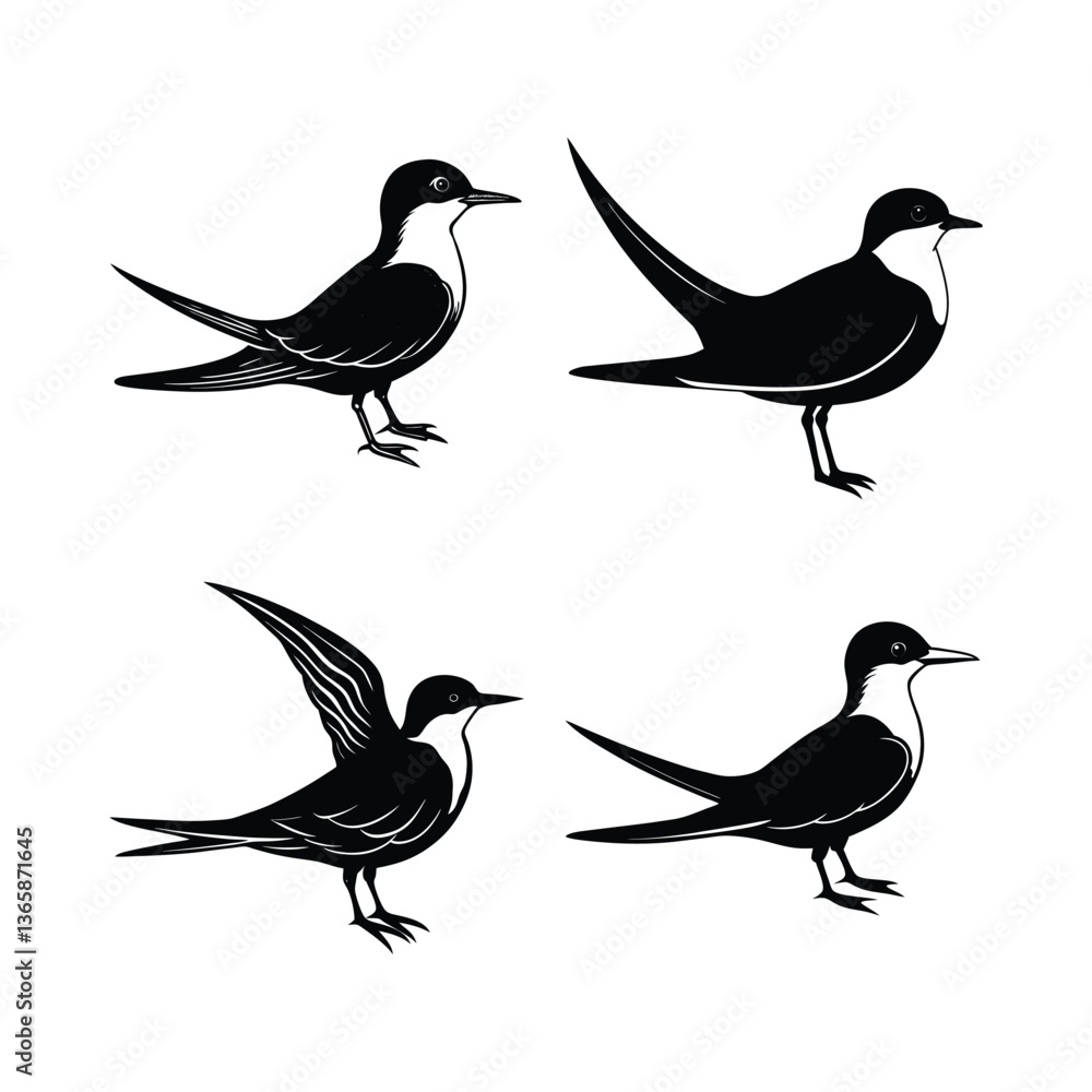 Set of specter tern bird vector. Set of specter tern bird vector.