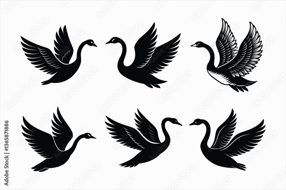 Set of ash swan bird vector. Set of ash swan bird vector.