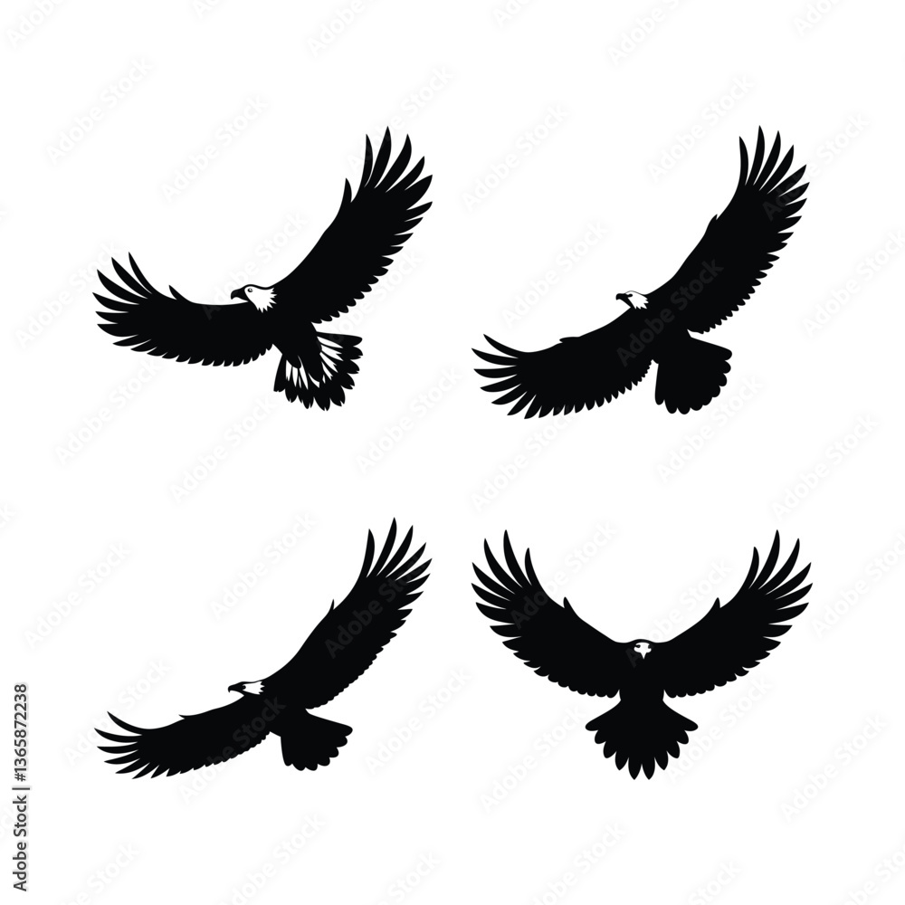 Obraz premium Set of bald eagle bird vector.
