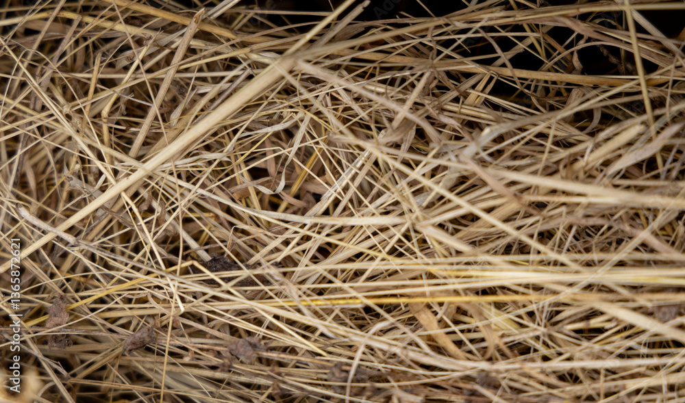 Dry hay in storage Dry hay in storage