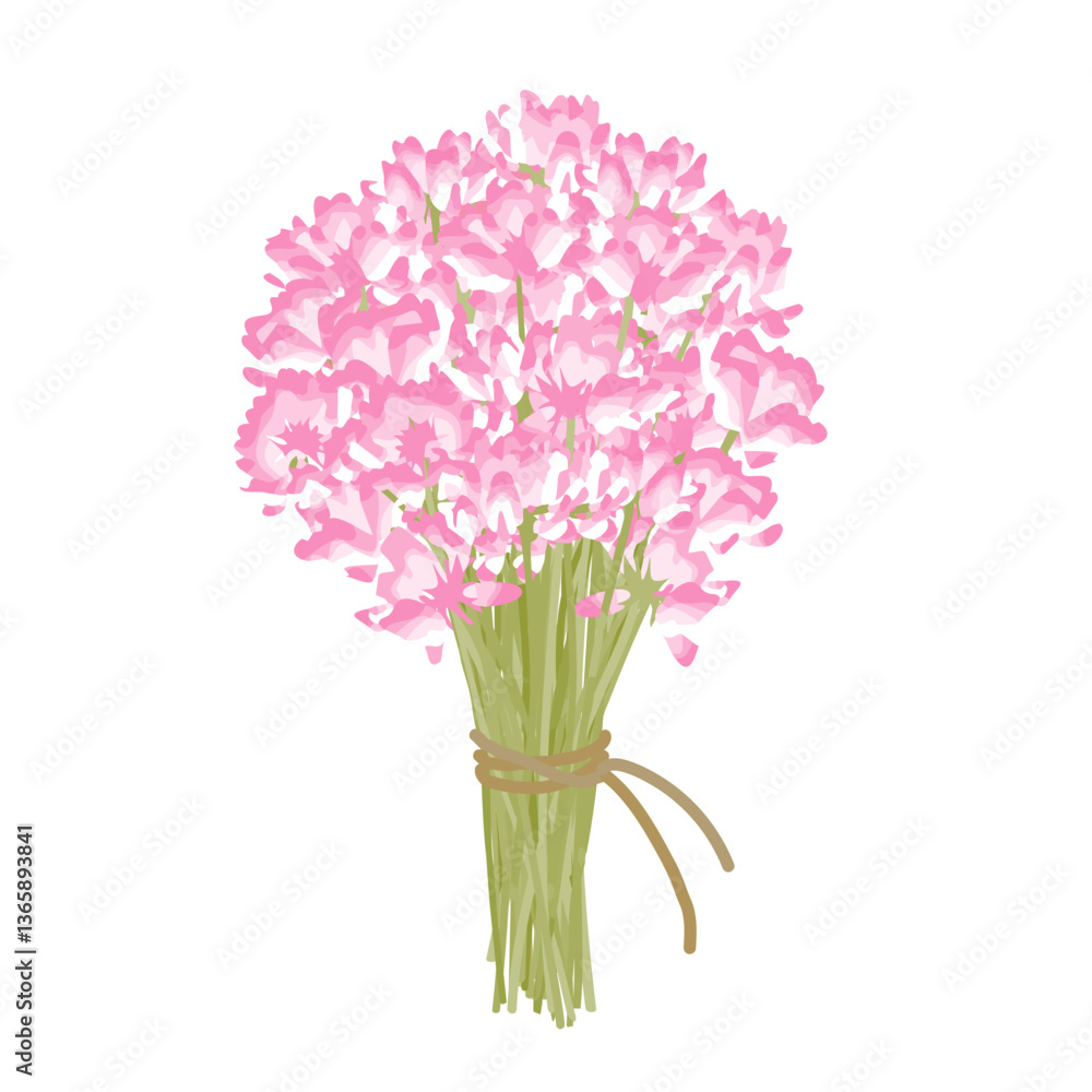 Obraz premium たくさんのレンゲソウを麻ひもでまとめた、ボリュームのある花束イラスト