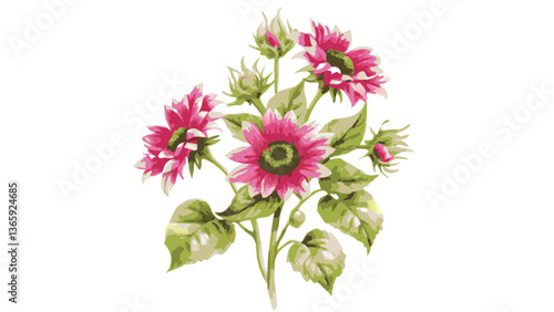 vibrant sunflowers showcasing shades of pink and green against an appealing background