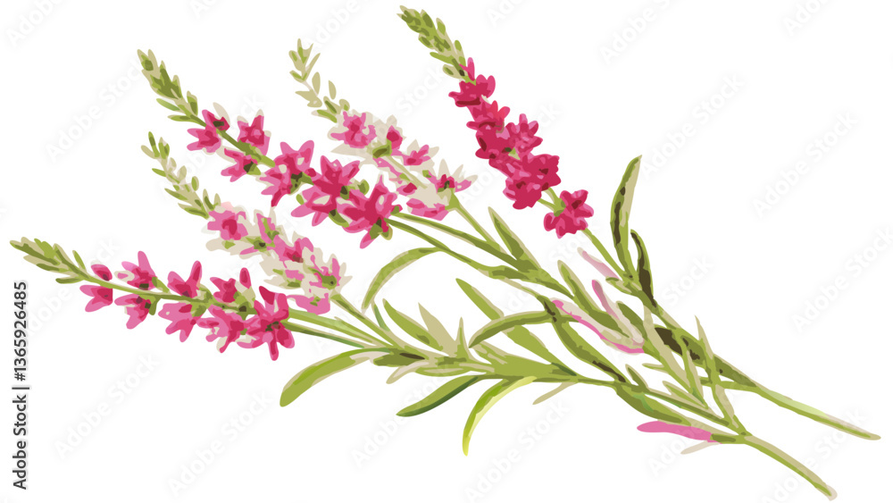 a close-up shot of vibrant pink and white flowers, their delicate petals and slender green stems. It's a natural beauty a close-up shot of vibrant pink and white flowers, their delicate petals and slender green stems. It's a natural beauty