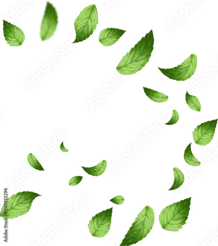 flying leaf and mint leaves isolated on white background vector realistic illustration. Leaves Green Falling