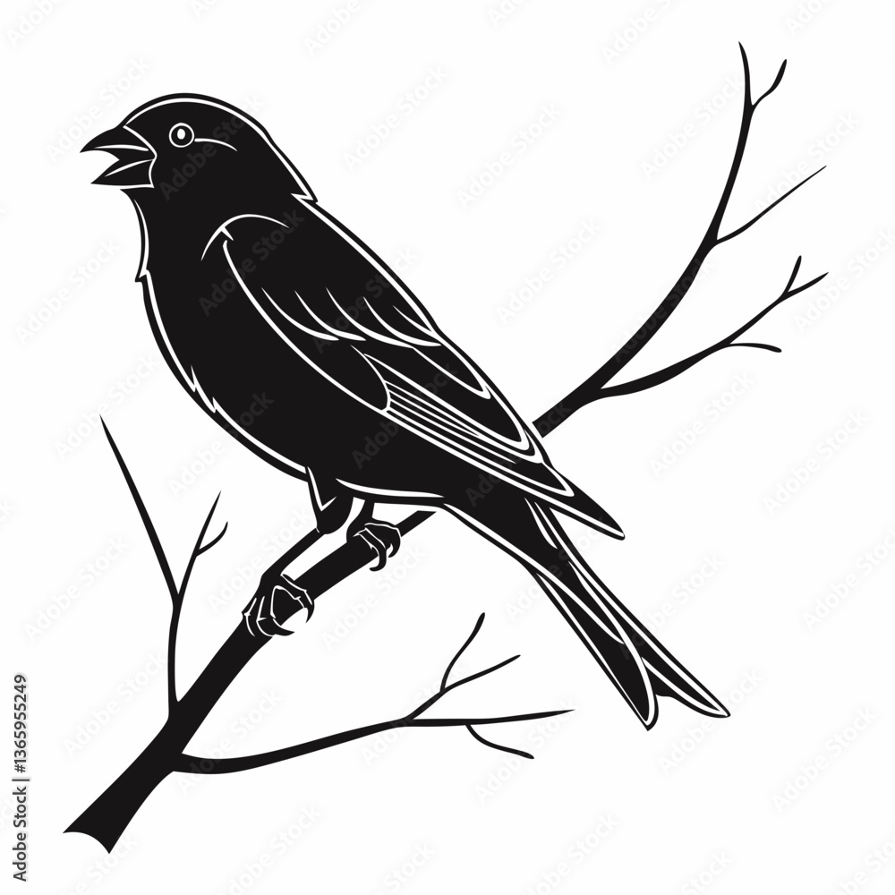 Fototapeta premium finch sihouette black vector 
