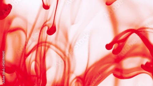 Abstract video with vibrant colors flowing with colored inks dispersed in water. The composition consists of shades of blue, red, green and yellow blending and swirling on a light background, creating