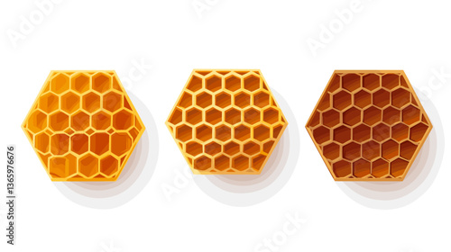 Hexagonal honeycomb structures showcasing modern design and vibrant colors in a clean layout