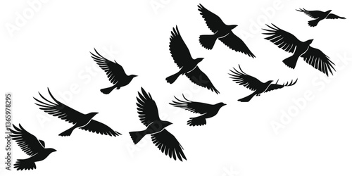 black bird silhouettes