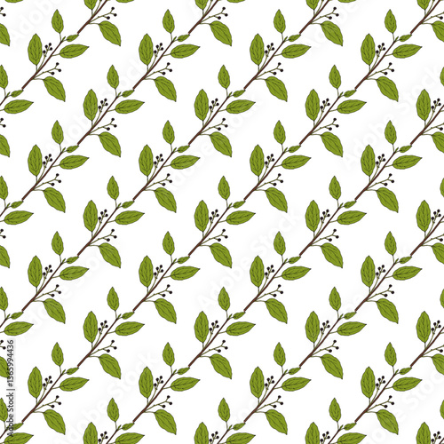 Seamless pattern with hand drawn Camphor tree (Camphora officinarum), edible and medicinal plant