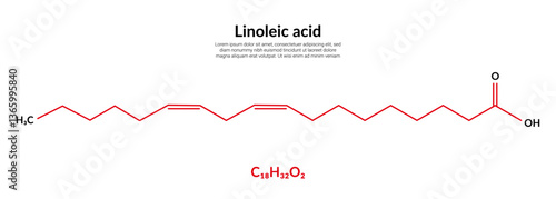 Linoleic acid (LA) molecular structure formula, suitable for education or chemistry science content. Vector illustration