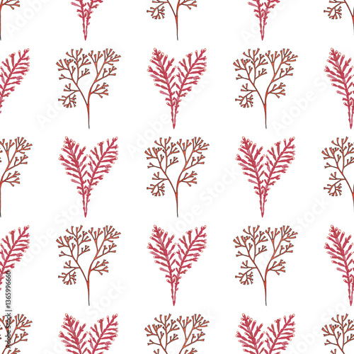 Foto Seamless pattern with hand drawn seaweed, corallina officinalis and Irish moss