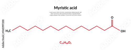 Myristic (tetradecanoic) acid molecular structure formula, suitable for education or chemistry science content. Vector illustration