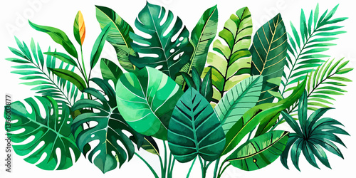 Tropical Green Leaves Arrangement on White Background  