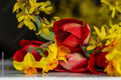 plantes et fleurs de printemps
