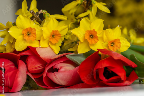 plantes et fleurs de printemps