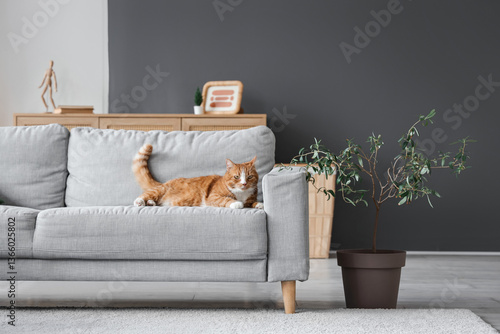 Cute cat lying on sofa in l...