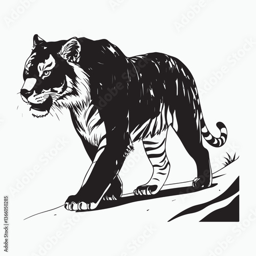 Tigers Vector.