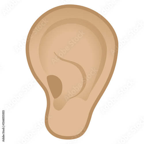 Ear
