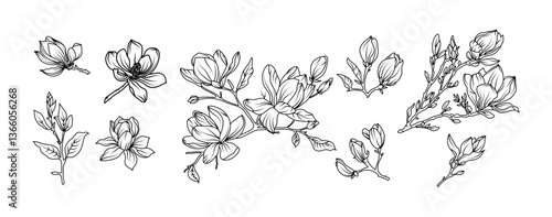 Magnolia flower arrangement line art on white background. Silhouette magnolia botanical hand drawn element for wedding, invitation frame design, vector illustration
