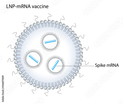 Lipid nanoparticle–mRNA formulations as COVID-19 vaccines