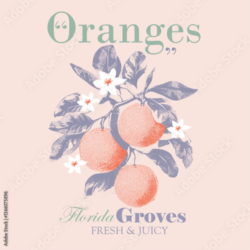 Oranges Florida groves, fresh & Juicy. summer tropical food fashion. retro vintage fashion. food fashion t shirt artwork orange fruit print design. orange slogan typography text.