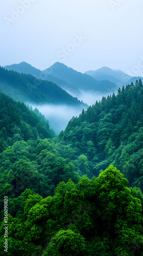 Misty mountain range with lush green forest
