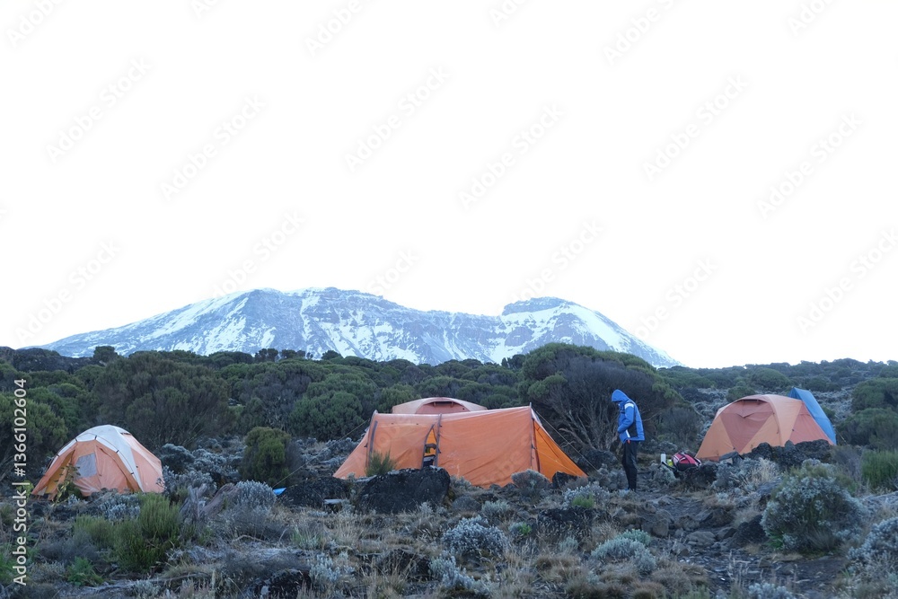 Scenery of Shira Camp on trail to Kilimanjaro with tents and silhouette of Mount Kilimanjaro on horizon, Machame Route, Tanzania