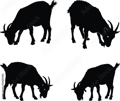 Goat Selotte vector design balck