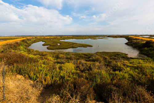Marismas del Duque rio Guadalquivir