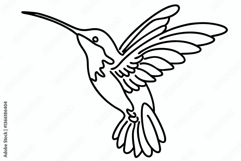 Fototapeta premium Elegant Line Art Drawing of Hummingbird - Detailed Monochrome Sketch of Humming Bird in Flight