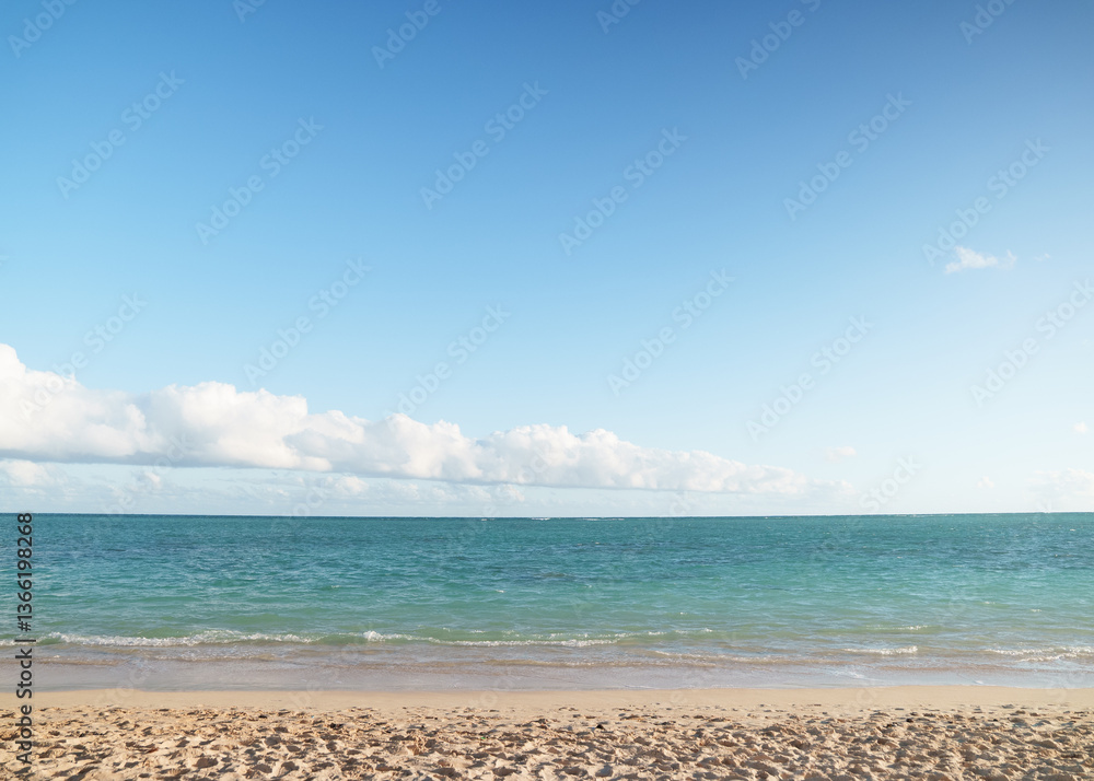 Fototapeta premium Beach in Hawaii