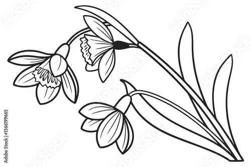 Sweet Pea Flower Vector Art for Floral Designs