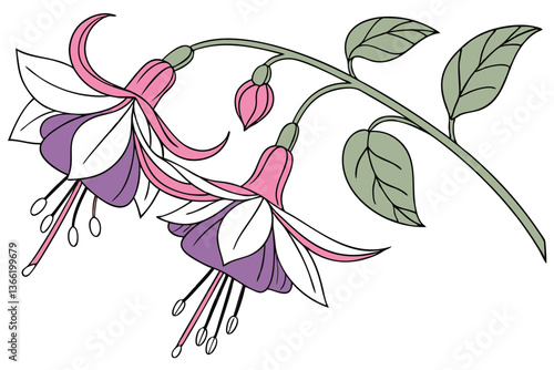 Elegant Sweet Pea Flower Vector Art for Graphic Design