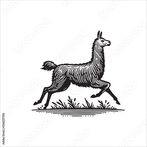 Simple Llama Running Vector Icon – Vintage Logo & Retro Illustration