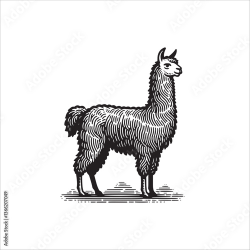 Simple Llama Standing Side View Vector Icon – Vintage Logo & Retro Illustration