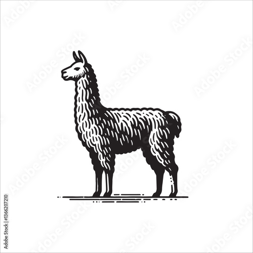 Simple Llama Standing Side View Vector Icon – Vintage Logo & Retro Illustration
