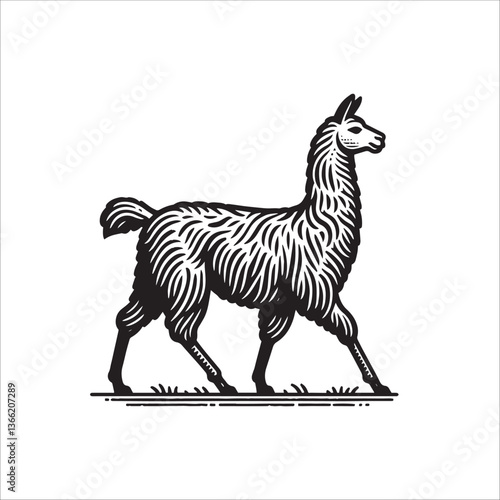 Simple Llama Walking Side View Vector Icon – Vintage Logo & Retro Illustration
