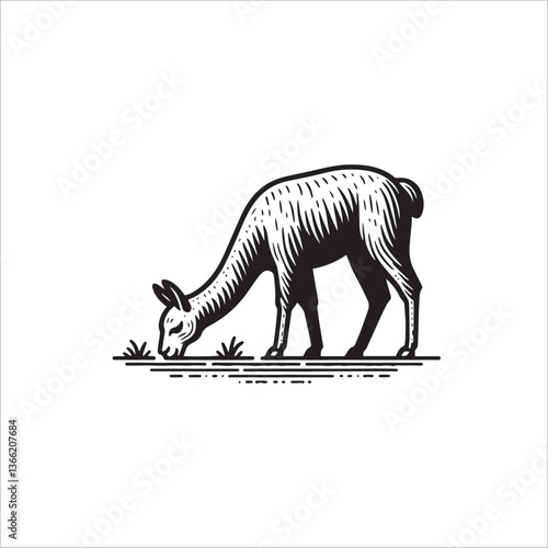 Simple Llama Grazing Vector Icon – Vintage Logo & Retro Illustration