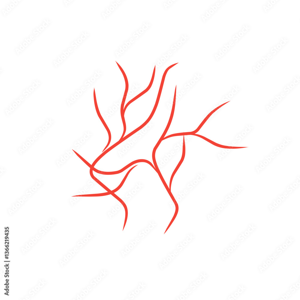Fototapeta premium red vein illustration